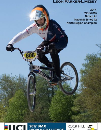 2017 World BMX Poster